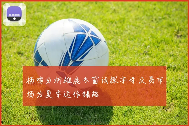 杨鸣分析雄鹿冬窗试探字母交易市场为夏季运作铺路