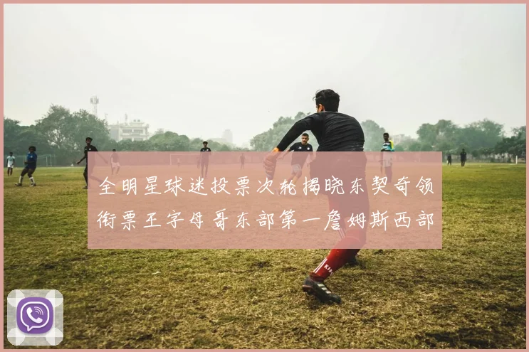 全明星球迷投票次轮揭晓东契奇领衔票王字母哥东部第一詹姆斯西部第八