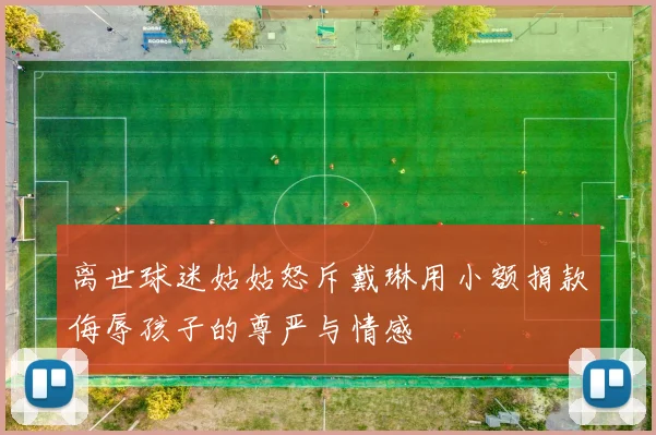 离世球迷姑姑怒斥戴琳用小额捐款侮辱孩子的尊严与情感