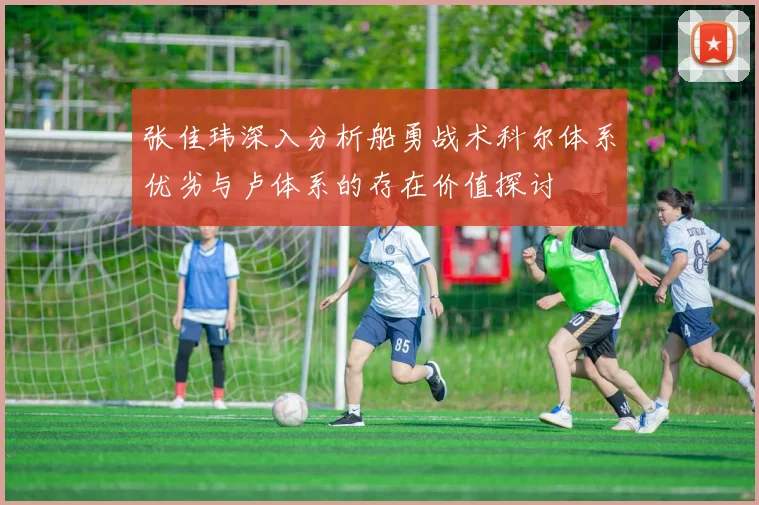 张佳玮深入分析船勇战术科尔体系优劣与卢体系的存在价值探讨