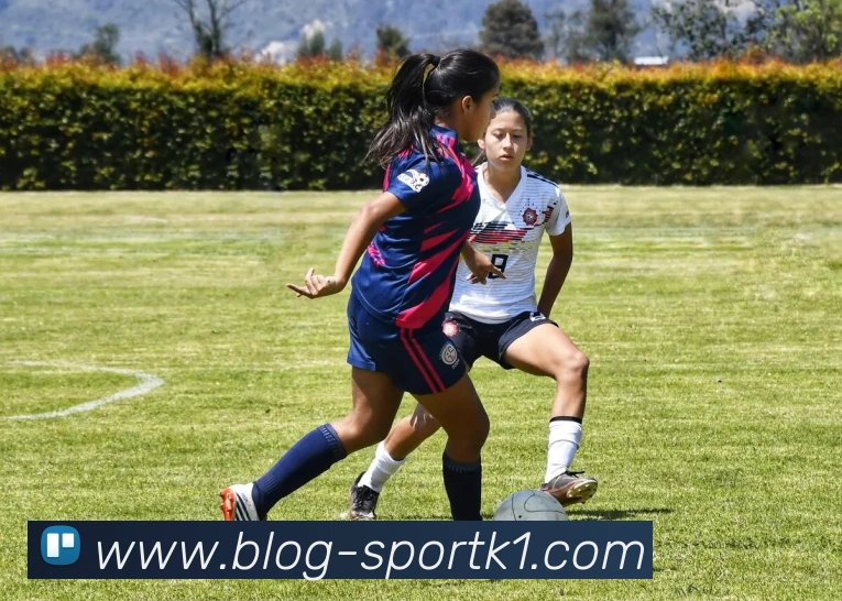 k1体育发展历程