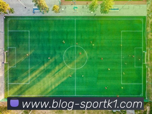 范佩西谈上田绮世进球荒称其正常自己曾经历十场不进球夺冠也能成功